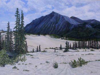 CarcrossDesert.jpg