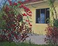 Bougainvillea.jpg