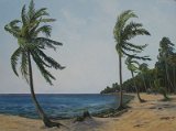 CaribbeanShore.jpg